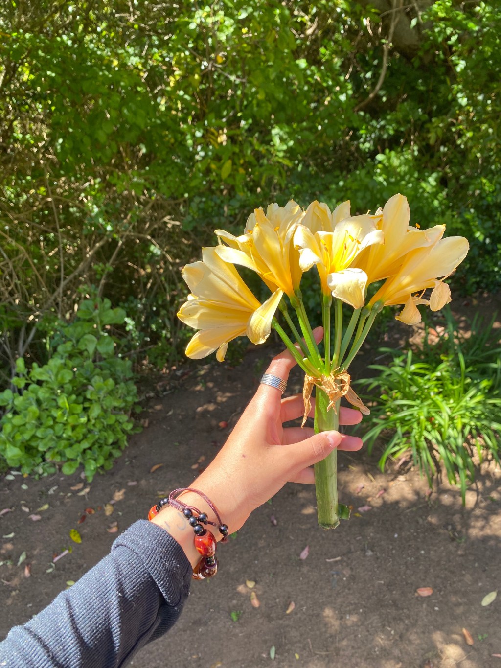 Natasha Arora and Kabir Dewan – Zindagi Na Milegi&nbsp;Dobara